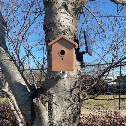SG Xtreme Life Hidden Camera Bird House Mounted on Tree