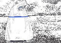 Portable UV Light Sanitizer System