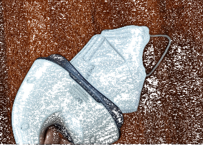 Portable UV Light Sanitizer System