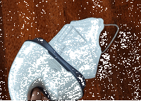 Portable UV Light Sanitizer System