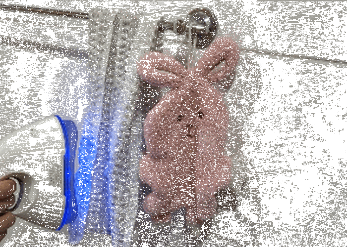 Portable UV Light Sanitizer System