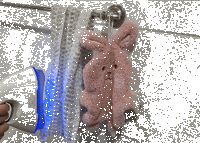 Portable UV Light Sanitizer System