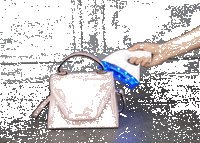 Portable UV Light Sanitizer System