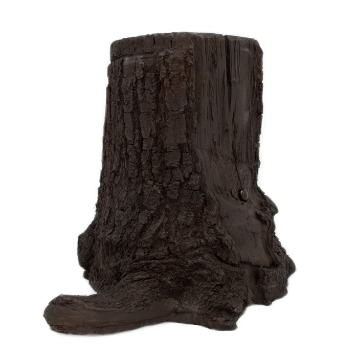 Tree Stump Camera