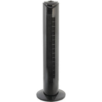 oscillating fan camera — in use