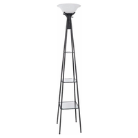 floor lamp hidden camera — front view