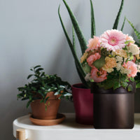 4G flower pot hidden camera with 4K streaming - close-up view