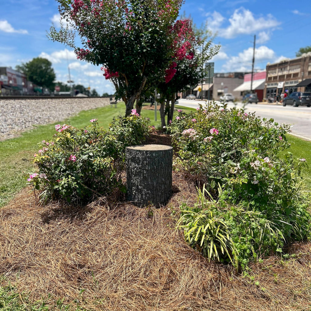 4G tree stump hidden camera with 4K streaming - front view