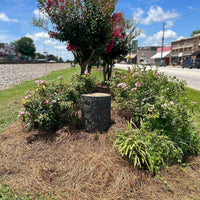 4G tree stump hidden camera with 4K streaming - front view