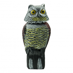 owl figurine hidden camera — angled view