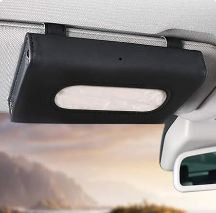 in-vehicle tissue box camera — in use