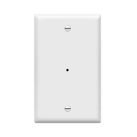 wall plate Security Camera — front view