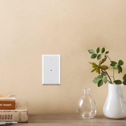wall plate camera — size reference