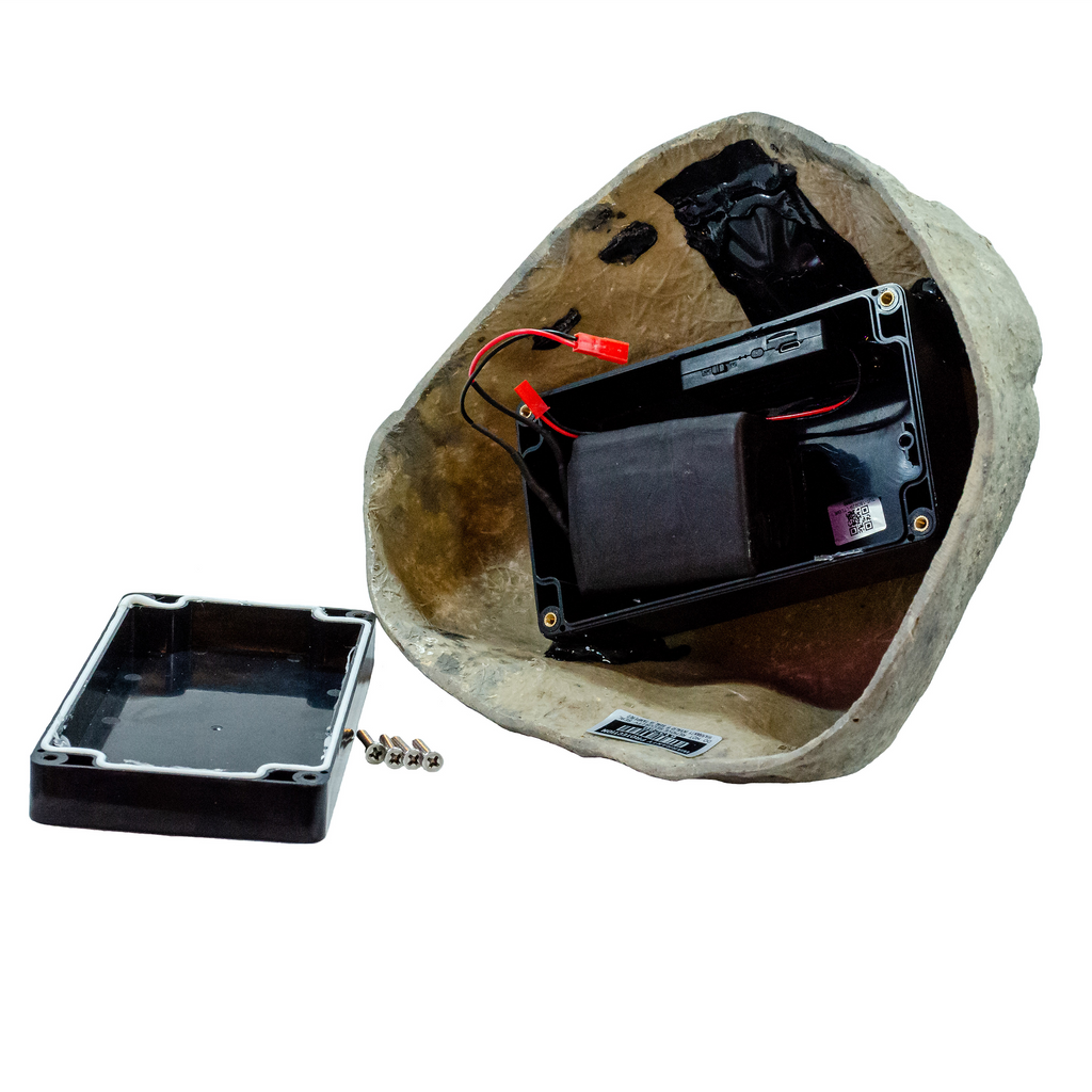 landscape rock camera — included accessories