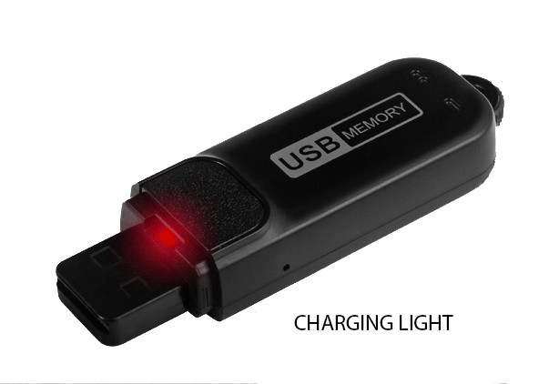 D1440 USB Style Digital Audio Voice Recorder Charging Light